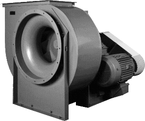 Coil Image 3